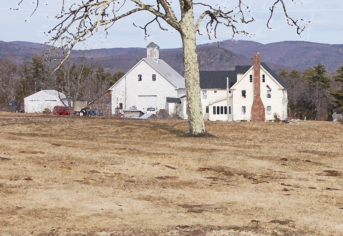 farmhouse drybr crop