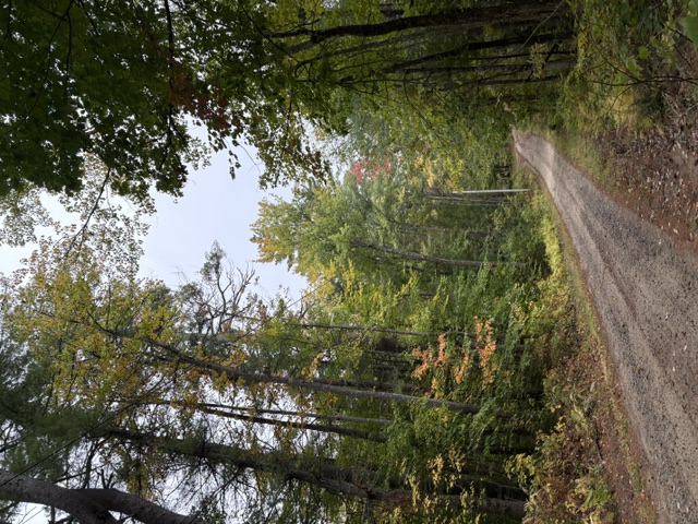 MillikenRd